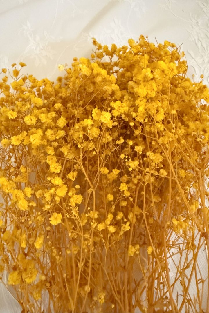 Pack of 20, 30, 50, 100 Baby's Breath Flower Bunches