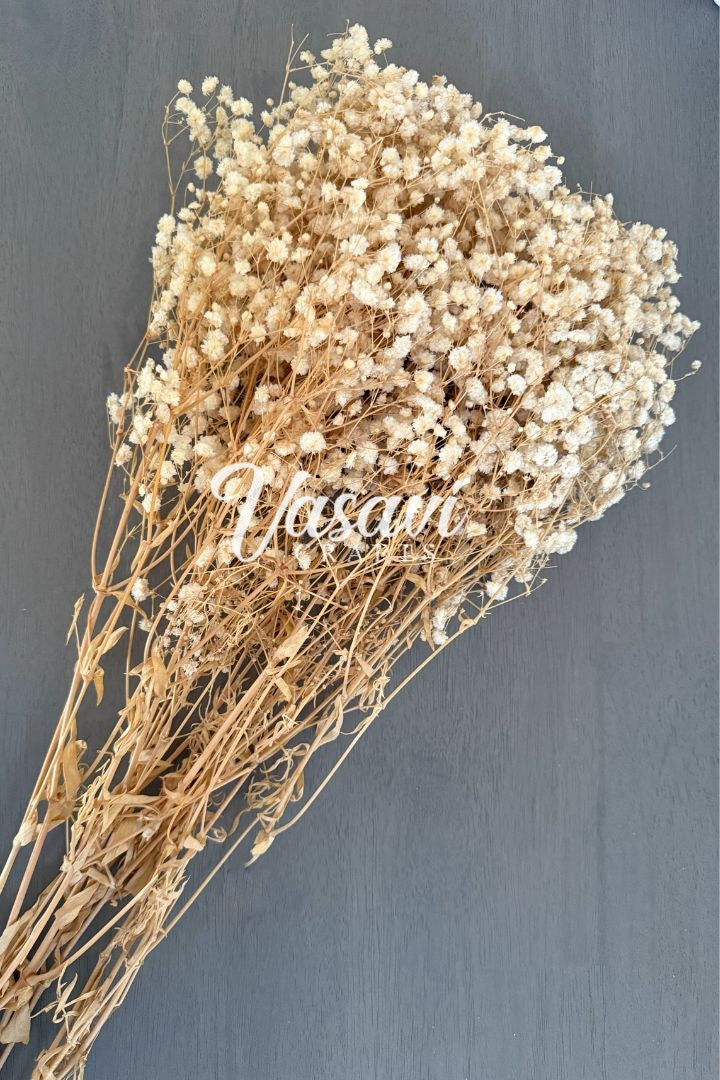 Pack of 20, 30, 50, 100 Baby's Breath Flower Bunches