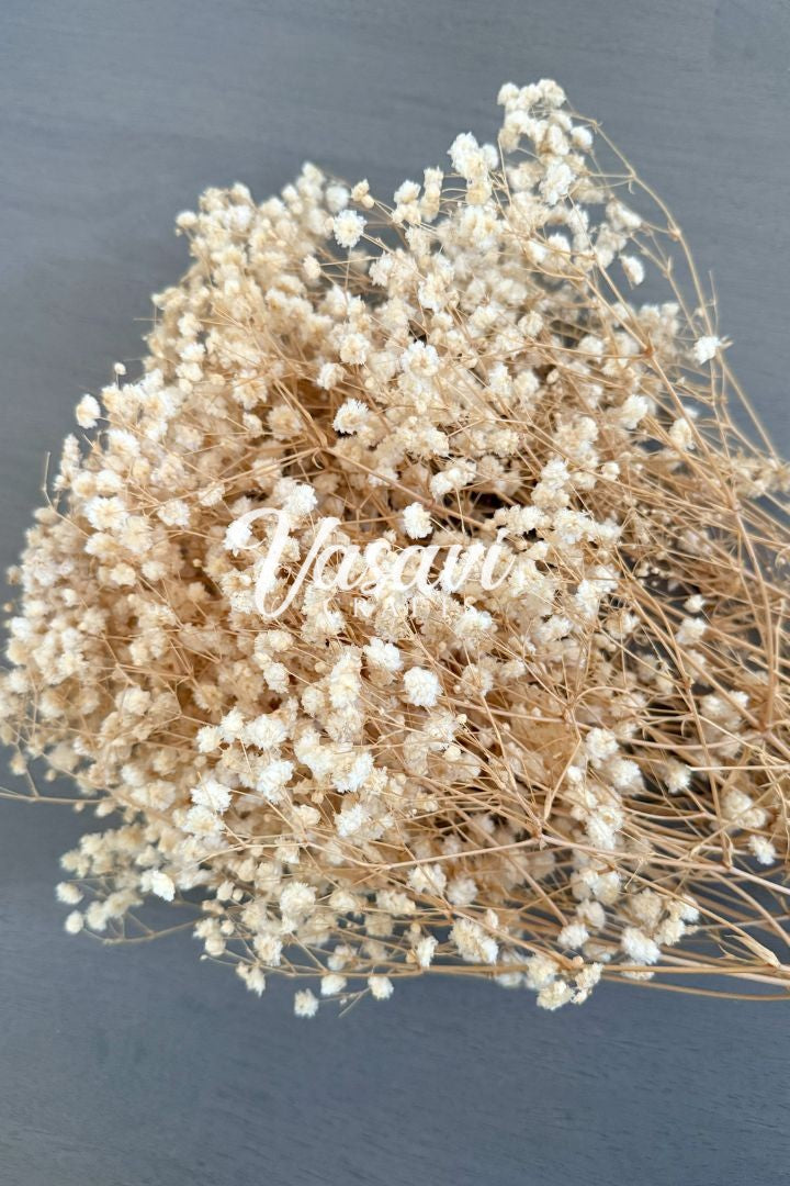 Pack of 20, 30, 50, 100 Baby's Breath Flower Bunches