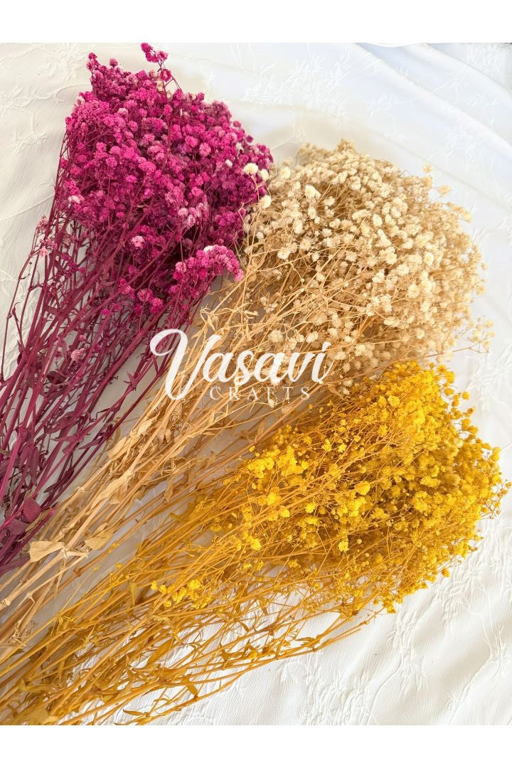 Pack of 20, 30, 50, 100 Baby's Breath Flower Bunches