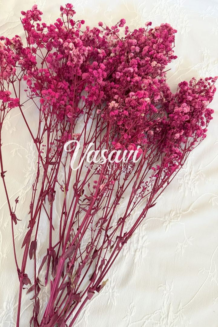 Pack of 20, 30, 50, 100 Baby's Breath Flower Bunches