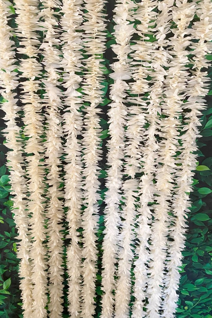 Pack of 30, 40, 50, 80, 100 Ivory Jasmine/Gajra Flower Garlands 8 ft long